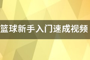 篮球培训班训练视频教程